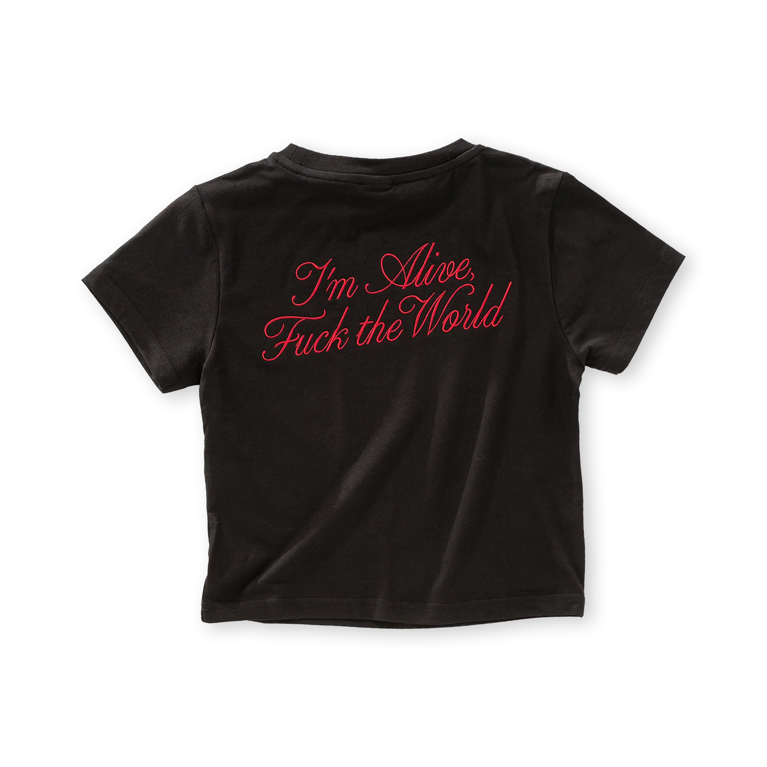 Thunderdome FTS Baby Tee - Image 3
