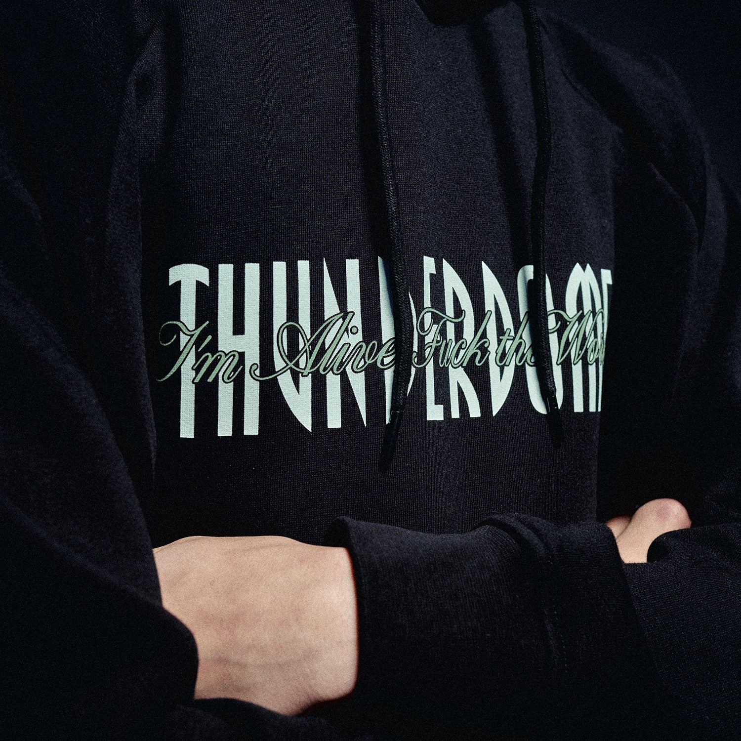 Thunderdome FTS Black Hoodie - Image 5