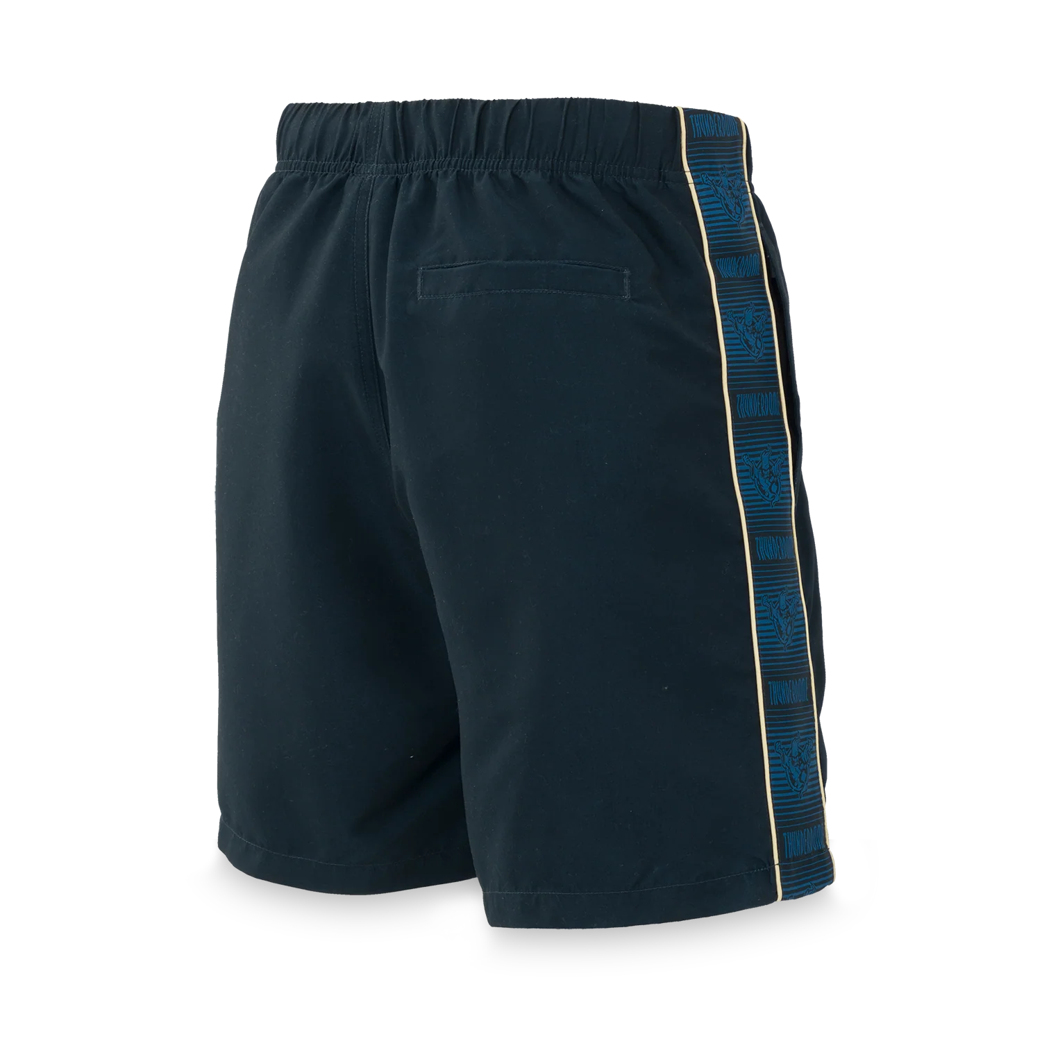 Thunderdome Swim short blue/sand men - Image 2